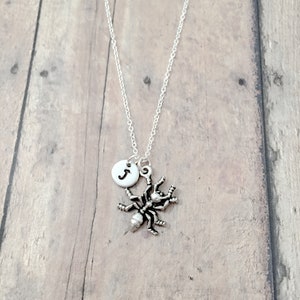 Collar de hormigas: joyería de insectos, colgante de bicho