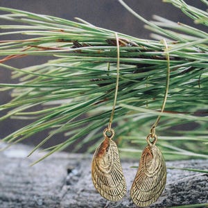 Gold mussel earrings - mussel jewelry, beach jewelry, nautical jewelry, mussel gift, beach earrings, seashell jewelry