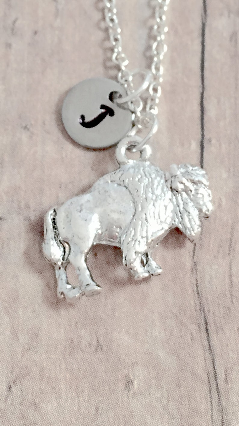 Buffalo initial necklace buffalo jewelry bison jewelry New Etsy