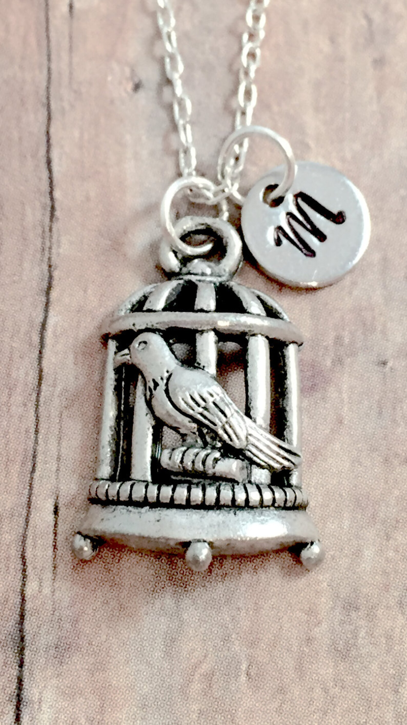 Bird Cage Initial Necklace Bird Cage Jewelry Bird Jewelry Etsy