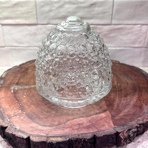 May include: A clear glass cloche with a textured, bubble-like pattern. The cloche sits on a round, dark brown wooden base. The glass dome has a small, rounded top and a flared base.