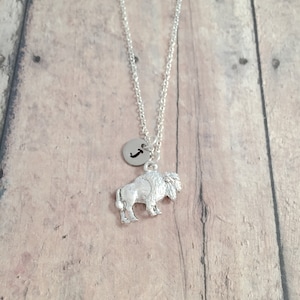 Buffalo initial necklace - buffalo jewelry, bison jewelry, New York jewelry, buffalo necklace, bison necklace, Wyoming necklace, bison gift