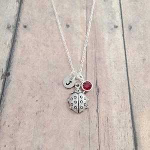 Ladybug Initial Necklace: Insect Jewelry, Bug Pendant