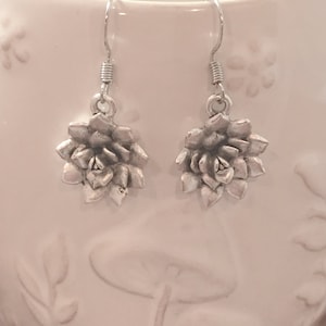 Succulent earrings - succulent jewelry, plant earrings, succulent gift, plant jewelry