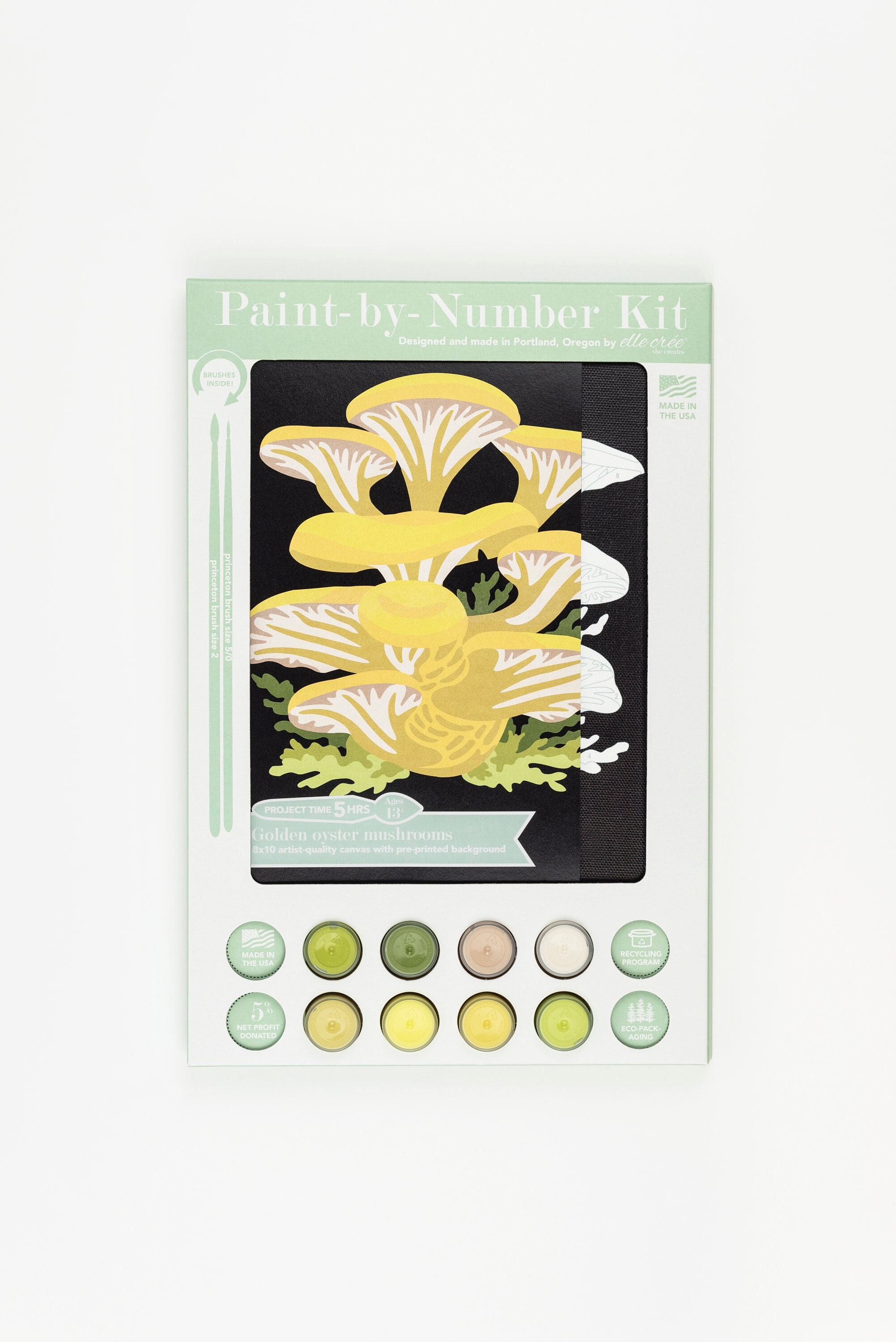 Henri Matisse PAINT by NUMBER Kit for Adults , Woman on Couch,easy