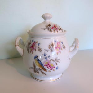 Vintage Porcelain Sugar Bowl with Lid | Hand-Painted Bird & Floral Design | Antique China Dish | Double Handled Sugar Jar | Cottagecore