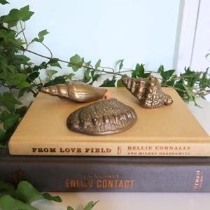 Set of 3 Vintage Brass Seashell Figurines | Coastal Paperweights | Hollywood Regency Nautical Decor | 1970s 1980s Beach House