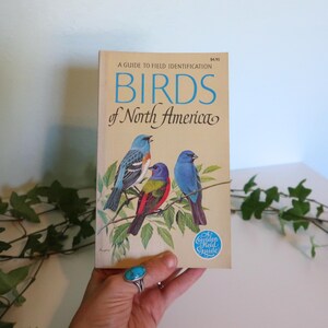 1966 Birds of North America Book | Golden Field Guide | Vintage Nature Decor | Mid-Century Bird Lover Gift | Retro Art