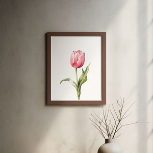 Cartel de tulipán rosa flor acuarela, lienzo de arte de pared, decoración del hogar, regalo floral, para ella, sala de estar, impresión botánica