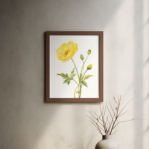 Buttercup Poster Watercolour, Wall Art Canvas, Home Decor, Floral Gift, For Her, Living Room, Botanical Print, Yellow Flower