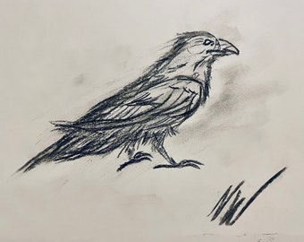 Framed & Signed Raven Raw Charcoal Sketch