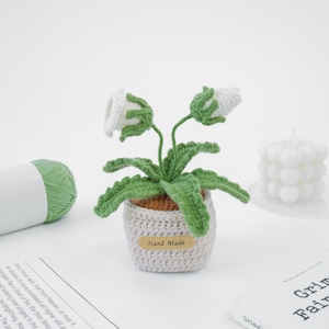 Crochet Bellflower Pot PDF Pattern, Flower Pot Amigurumi Step-by-Step Tutorial, Desk Decoration Flower Pot Crochet, How to Crochet Plant Pot