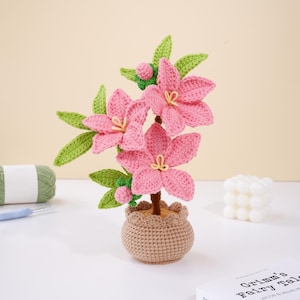 Pode incluir: Um arranjo floral de crochê feito à mão com flores rosa, folhas verdes e um caule marrom, em um pequeno vaso de crochê bege. As flores têm centros amarelos. O projeto artesanal está em um fundo neutro.