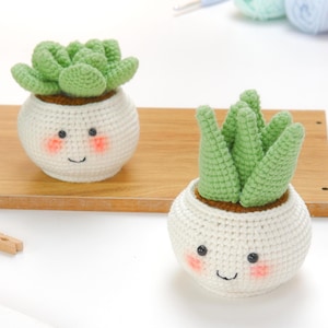 Pode incluir: Duas plantas suculentas de crochê feitas à mão em vasos brancos com rostos sorridentes e bochechas rosadas. As suculentas são verdes e os vasos estão em uma prateleira de madeira. O fundo inclui fios e prendedores de roupa.