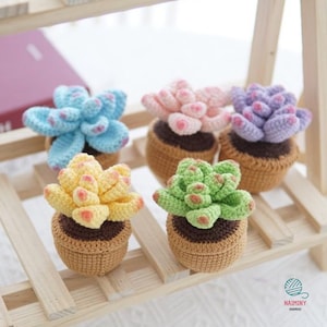 May include: Five crocheted succulent plants in pots. The succulents are in various colors, including pink, blue, yellow, and green. The pots are brown and have a crocheted texture.