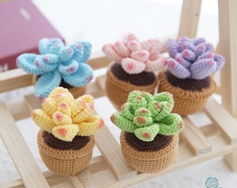 May include: Five crocheted succulent plants in pots. The succulents are in various colors, including pink, blue, yellow, and green. The pots are brown and have a crocheted texture.