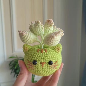 Op de afbeelding: Een gehaakte groene kattenpot met een roze en groene succulent die uit de bovenkant groeit. De kattenpot heeft zwarte ogen en een bruine neus.