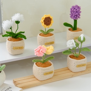 Patrón PDF de macetas de crochet fáciles - Paquete 5 en 1: Tutorial de amigurumi de macetas de crochet: Girasol, rosa, lavanda, clavel y diente de león