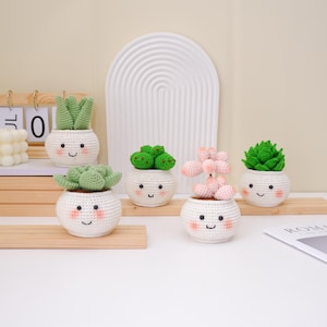 Bundle Succulent Potted Crochet PDF Pattern, 5in1 Step by Step Tutorial Crochet Plant Pot, Crochet Home Decoration Pattern, Cute Crochet