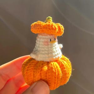 May include: A handmade crochet duck wearing a pumpkin hat. The duck is white with a peach-colored face and small black eyes. The pumpkin hat is orange with a green stem. The duck is sitting on an orange pumpkin base. The item is held in a hand.
