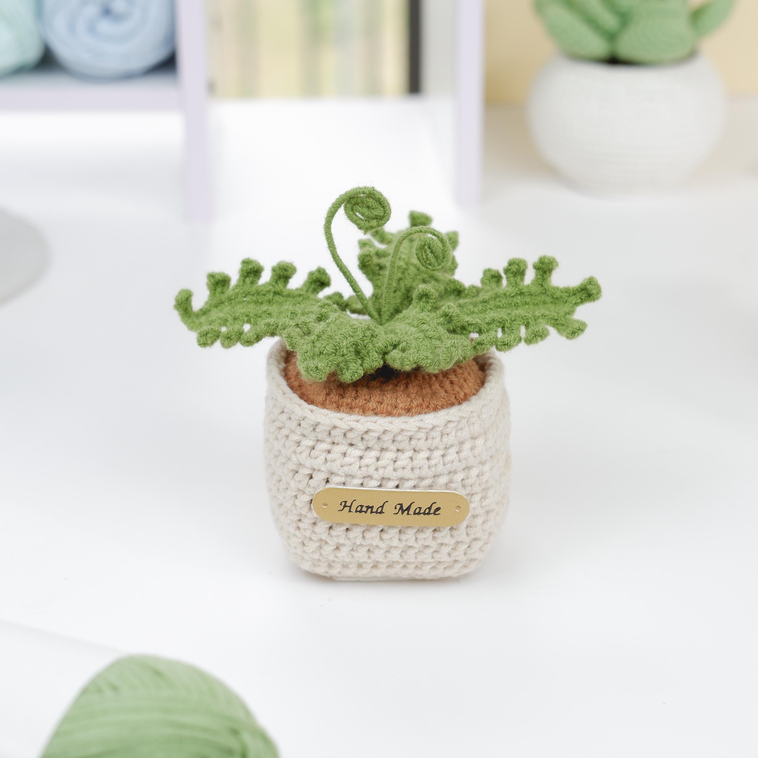 かぎ針編みの植木鉢のPDFパターン - 簡単なかぎ針編みバンドル3in1