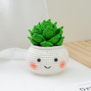 May include: A crocheted succulent plant in a white pot with a smiling face. The succulent has bright green leaves, and the pot features black eyes, rosy cheeks, and a curved mouth. The handmade plant is a charming decorative item.