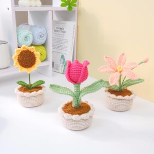Easy Crochet 3in1 Mini Flower Pot PDF Pattern, Bundle 3in1 Beginner Friendly Flower Pot, How to Crochet Flower Pot Step by Step Tutorial