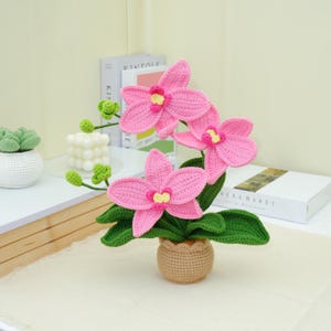 May include: A handcrafted crochet orchid plant with vibrant pink flowers, yellow centers, and green leaves. The plant is in a small, woven brown pot. The background includes books and a small succulent.
