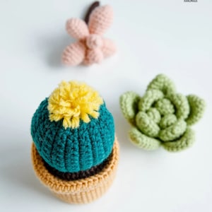 2 in 1 Crochet Cactus Pattern- 2 Crochet Cactus Patterns Step By Step With Pictures, Immediate Download PDF