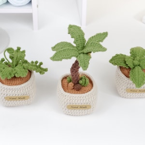 Crochet Plant Pot PDF Pattern - Easy Crochet Bundle 3IN1 Plant Pots Desk Decoration - Fern Amigurumi Pot Tutorial, Crochet Mint Mini Pot