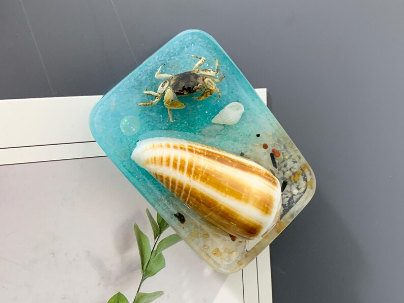 Funny Shell Refrigerator Magnet Set of 4 Kitchen Decor Gift, Cute Shell ...