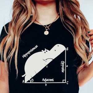 Funny Math Shirt, Math Teacher Shirt, Funny Math T shirt, Nerdy Math Shirt, Math Pun Shirt, Math Humor Shirt, Math Teacher Gift, Math Lover