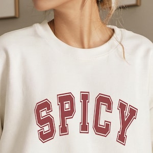 Spicy Sweatshirt, Sassy Sweatshirt, Statement Sweatshirt, Bild Sweater, Sassy Clothing, Attitude Sweatshirt, Valentine Sweatshirt Edgy Shirt