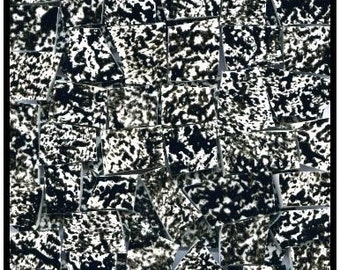 Zwart-wit keramische mozaïek tegel verscheidenheid België