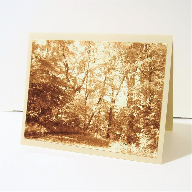 Road Less Traveled II Photo Notecard with Envelope Photography Print Blank Greeting Card Thank You Sepia Antique look image 1