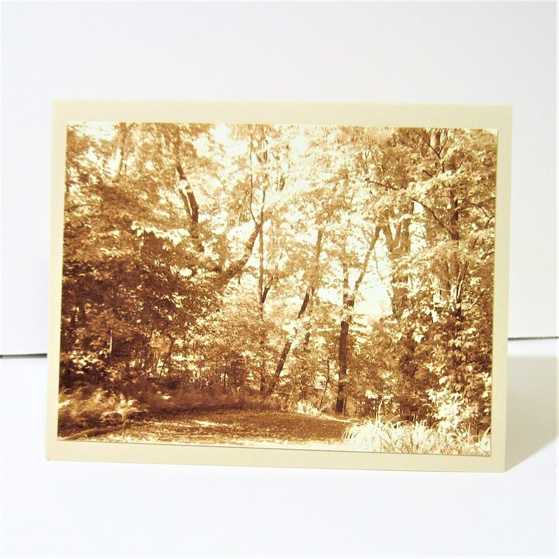 Road Less Traveled II Photo Notecard with Envelope Photography Print Blank Greeting Card Thank You Sepia Antique look image 2