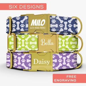 Paw and Bones Dog Collar, Personalized Dog Collar With Name, Cute Custom Girl or Boy Dog Collar and Leash, Heavy Duty, Sizes Small - XLarge