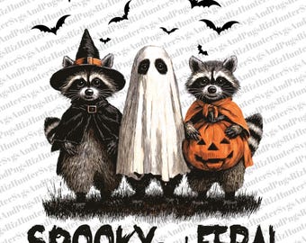 Mapache de Halloween PNG: Sublimación de bruja, fantasma y calabaza