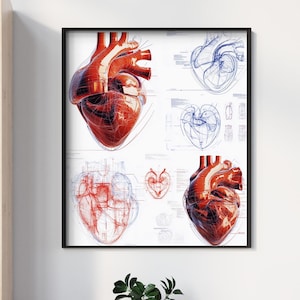 Anatomical Heart Wall Art 8 – Vintage Medical Illustration, Red and White Human Heart Print, Digital Download for Medical Office Decor