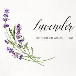 Grinalda de lavanda PNG. Clipart de flor de lavanda em aquarela. Buquê floral digital. Ilustração pintada à mão para impressão, design de sublimação 003