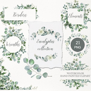Clipart d'eucalyptus aquarelle. Bordure de verdure, couronne PNG. Modèle d'invitation de mariage de fond floral vert sauge. Téléchargement numérique 001