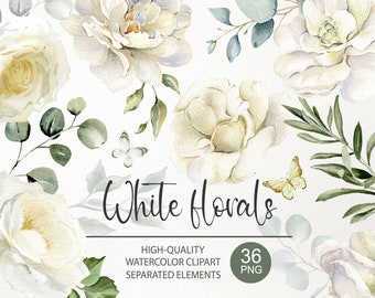 Watercolor white roses clipart. Creamy ivory alabaster peony flowers PNG. Separated elements. Floral wedding DIY card Digital download 020