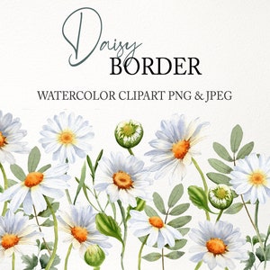 PNG clipart bordo fiore margherita. Ghirlanda floreale, design senza soluzione di continuità. Fiori di campo dell'acquerello. Illustrazione digitale floreale primavera estate 004