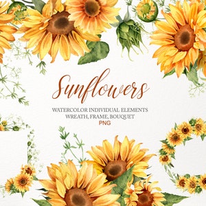 Clipart tournesol aquarelle. Sublimation de tournesols PNG. Éléments dessinés, bordure, bouquet, graphique imprimable floral rustique