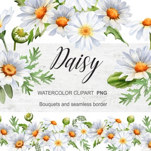 Gänseblümchen Clipart. Kamille PNG. Weißes Blumenbouquet, nahtloser Rand. Aquarell Wildblumen. Sommer Frühling florale digitale Illustration 004