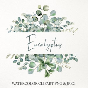 Clipart de bordure d'eucalyptus. Cadre de verdure PNG. Couronne d'aquarelle de feuilles vertes. Faire-part de mariage floral. Graphique à téléchargement numérique 001