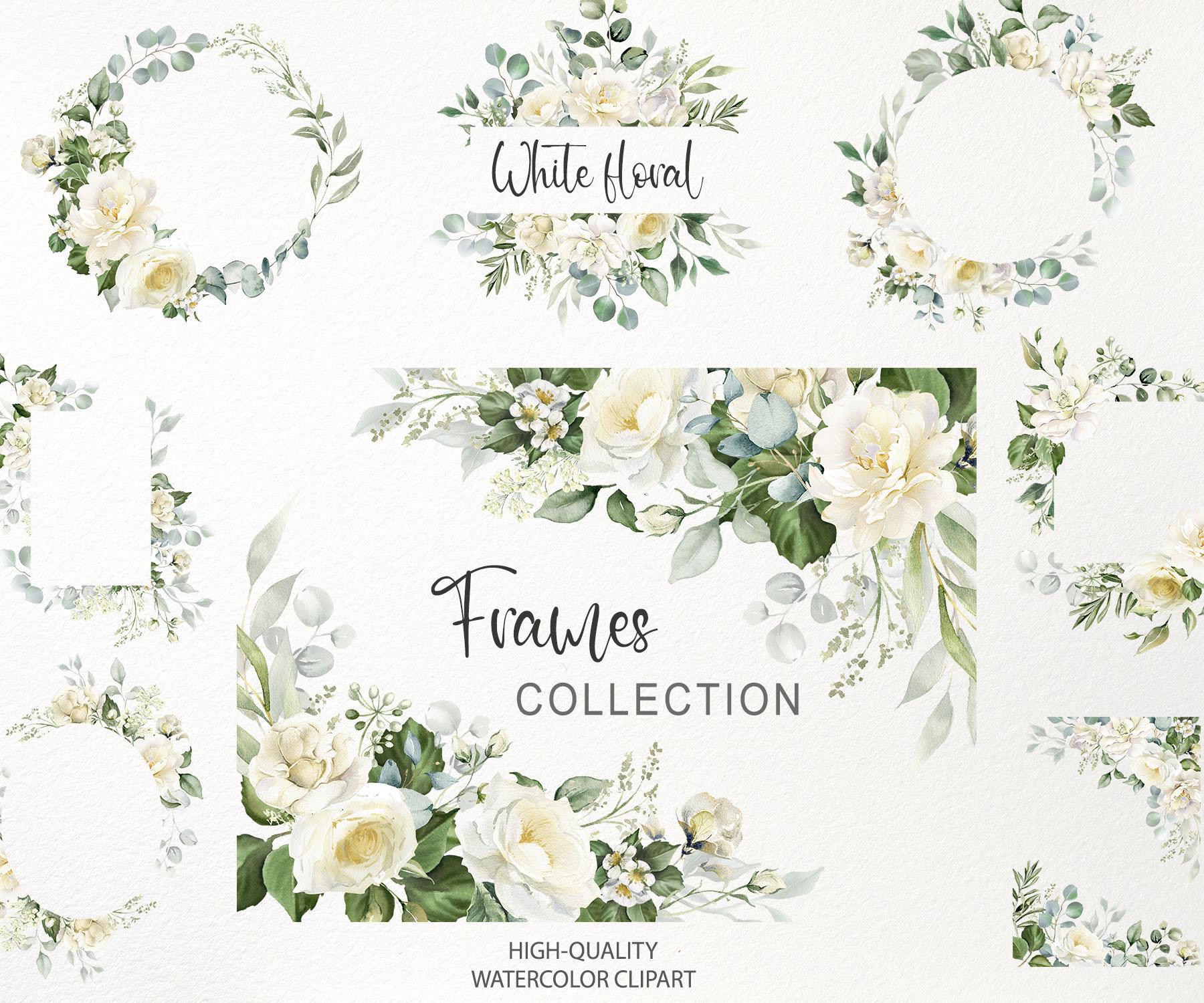 Watercolor white flowers border frame clipart. White rose background PNG. Eucalyptus greenery. Floral wedding invite. Digital download 020