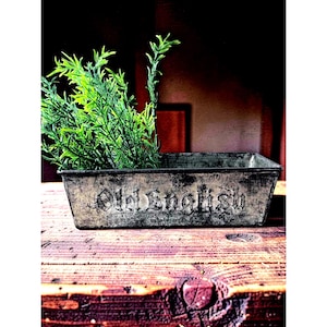 May include: A rectangular metal planter with the words "Old English" embossed on the front. The planter is filled with green leafy plants and sits on a wooden surface.