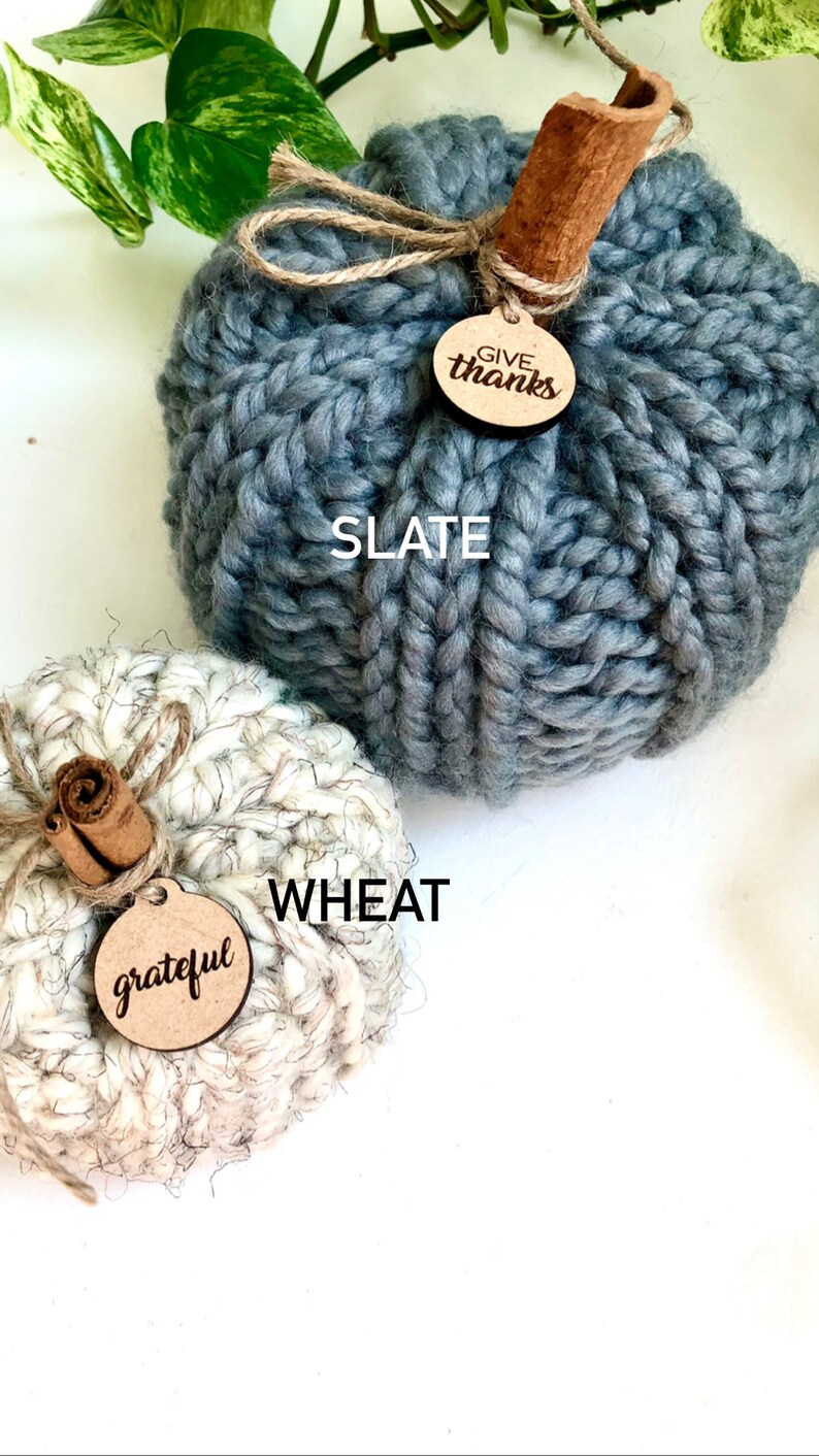 Peut inclure: Deux citrouilles tricot&eacute;es, l'une de couleur bleu ardoise avec une &eacute;tiquette "give thanks" et l'autre de couleur cr&egrave;me avec une &eacute;tiquette "grateful".