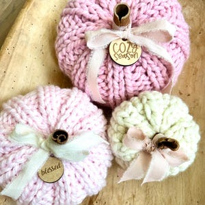 May include: Three knitted pumpkins with wooden tags. The pumpkins are pink and cream colored. The tags say "Cozy Season", "Blessed", and "Happy Fall".